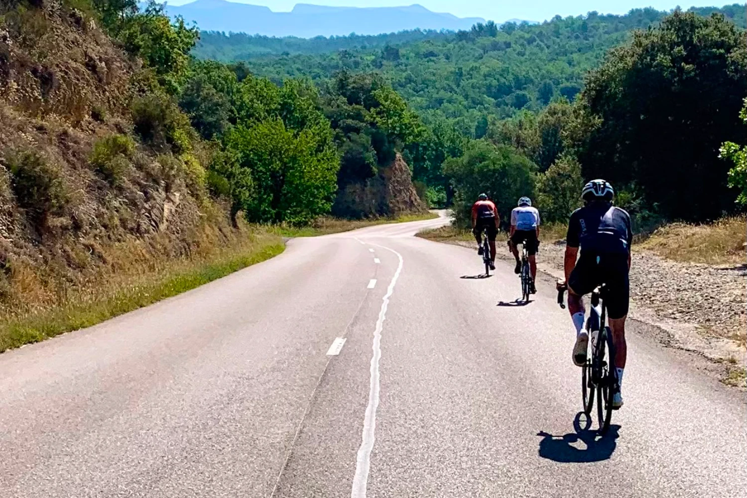 Le mont Ventoux au loin depuis la plaine