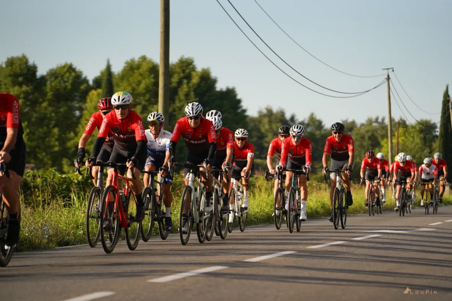 Le peloton du club sur une route du Luberon